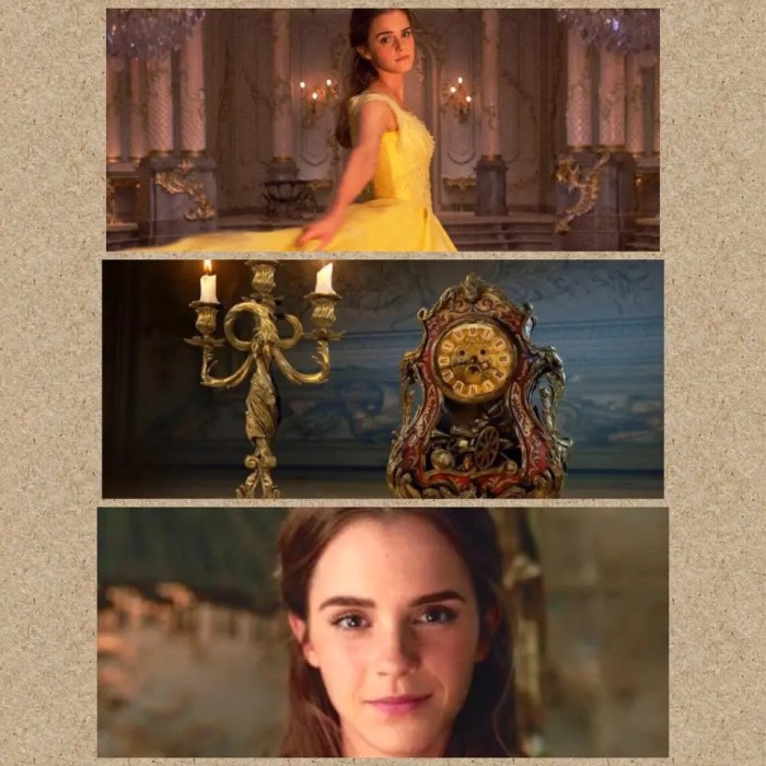 Beauty and beast costume diy